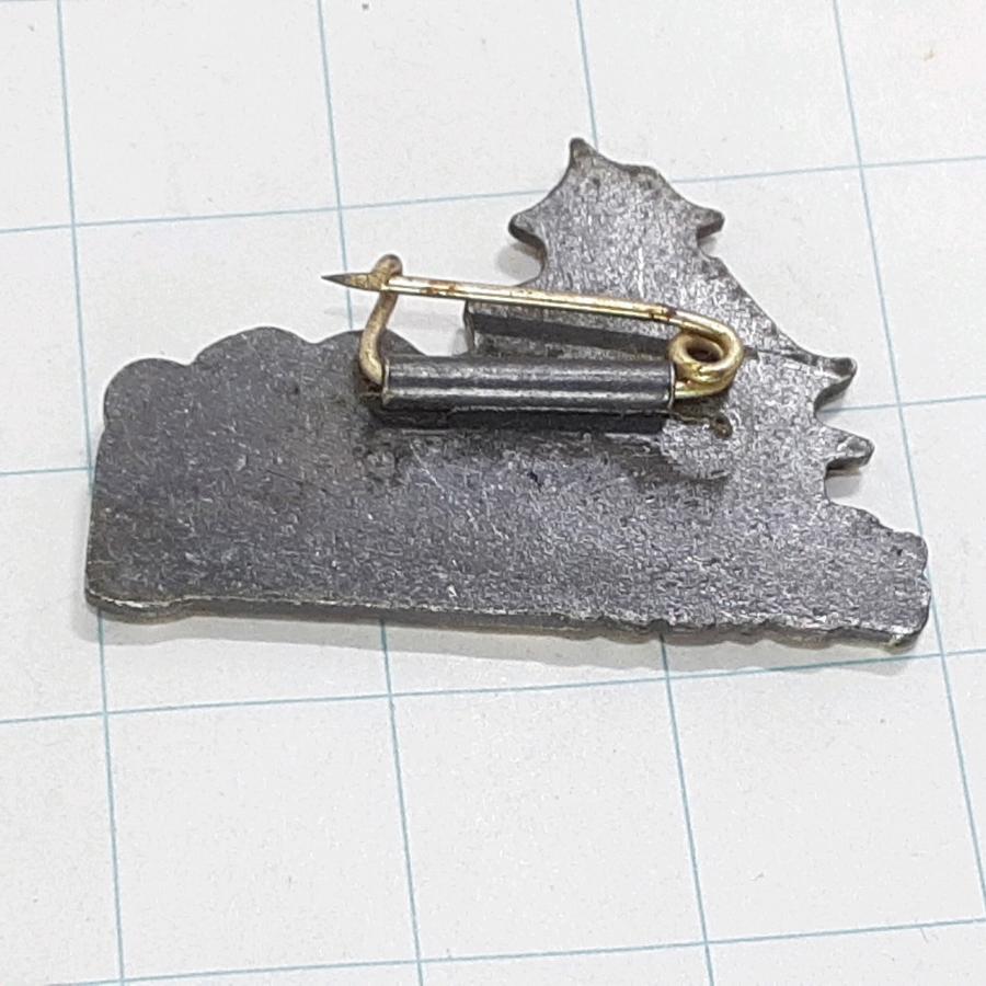 送料無料)高知城 観光 旅行 登山 記念 山バッジ ピンバッジ PINS