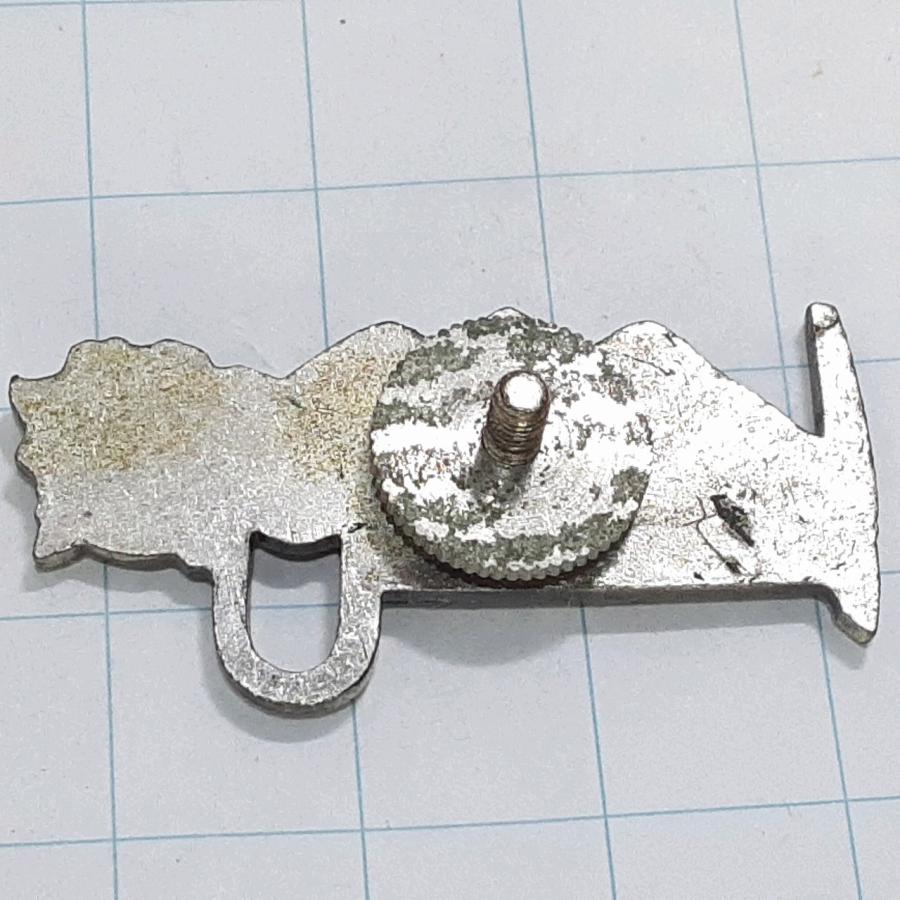 送料無料)三ッ峠 観光 旅行 登山 記念 山バッジ ピンバッジ PINS