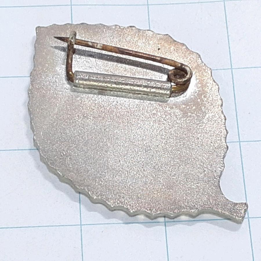 送料無料)奥穂高岳 観光 旅行 登山 記念 山バッジ ピンバッジ PINS