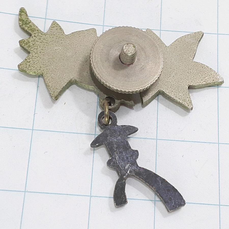 送料無料)兼六園 観光 旅行 登山 記念 山バッジ ピンバッジ PINS