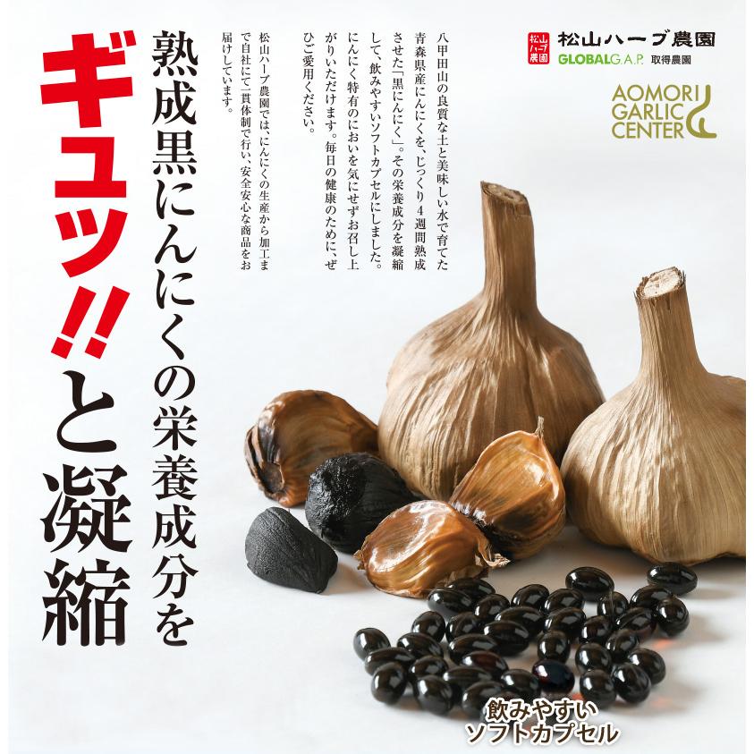 熟成黒にんにくサプリメント 青森県産にんにく100％使用 31粒入り×1袋
