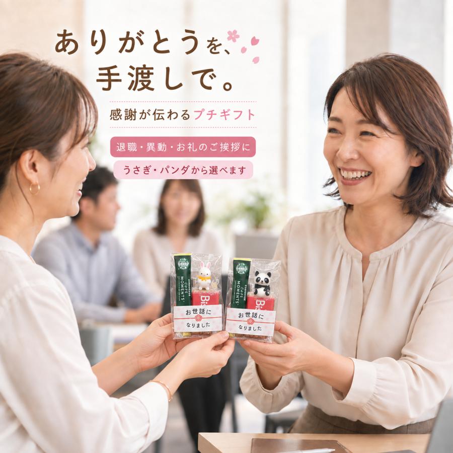 パンダさん専用スタバ Iced Coffee5箱セット スターバックス（Starbucks Coffee） プチギフト コーヒー お世話に