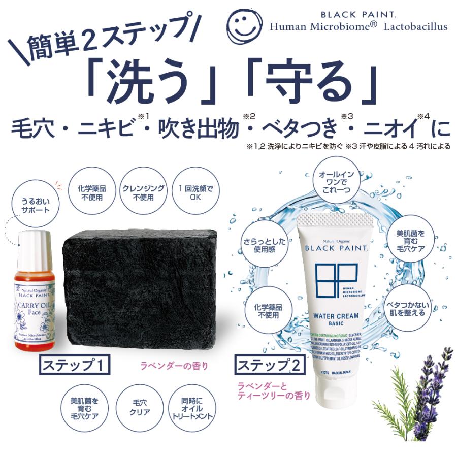 新品未開封 レア出品！ブラックペイント 毛穴を洗う石鹸&オイル