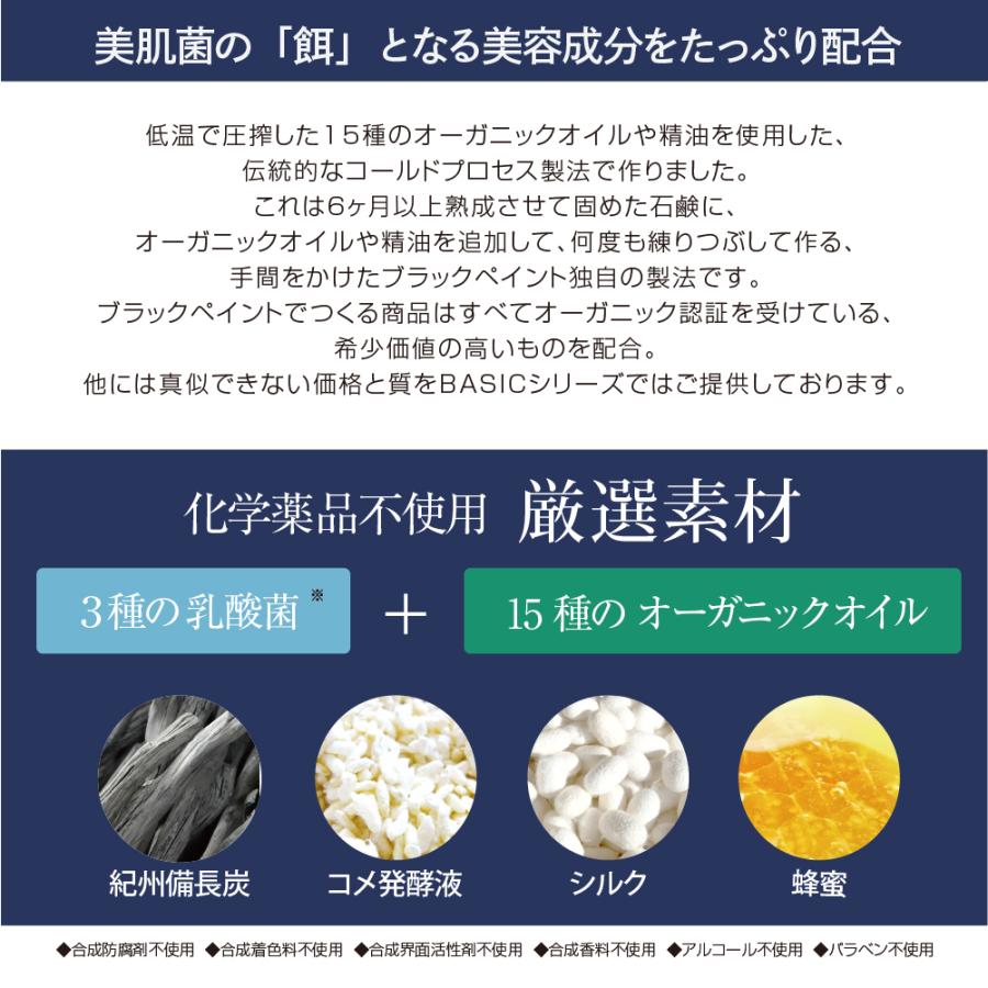 BLACK PAINT ブラックペイント 【塗る洗顔石鹸】BASIC 120g 1個