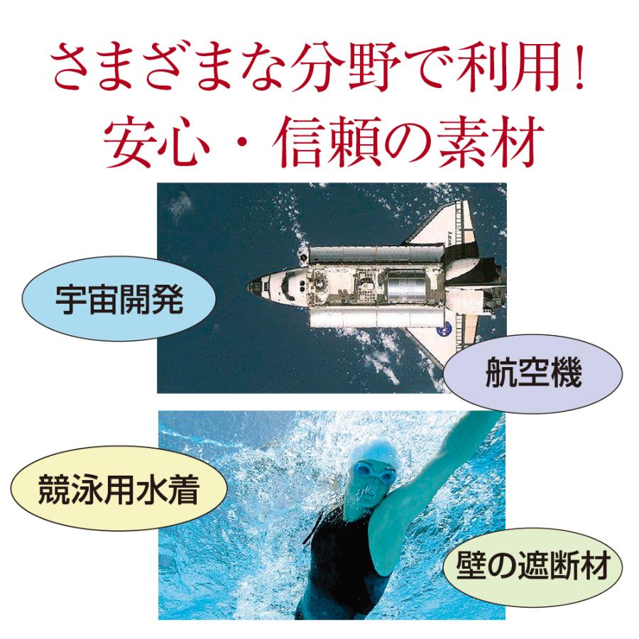 BLACK PAINT（ブラックペイント） 遠赤外線ケア 健康サポートエナジー