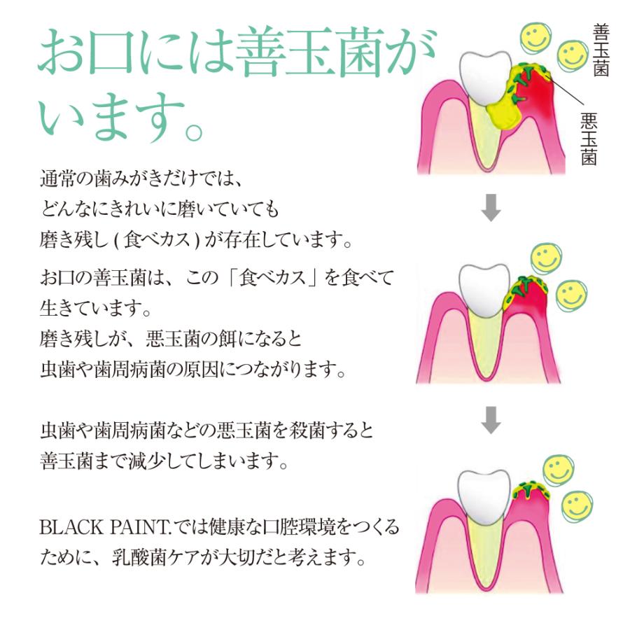 ブラックペイント 口腔ケア  ロイテリ菌 歯磨き粉 100g 口臭 歯石予防 泡控えめ フッ素なし 爽やかミント ノンケミカル オーガニック ヒト乳酸菌配合 | BLACK PAINT | 03