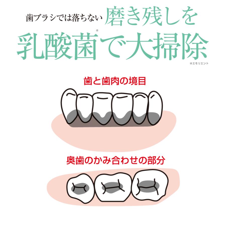 ブラックペイント 口腔ケア  ロイテリ菌 歯磨き粉 30g 口臭 歯石予防 泡控えめ フッ素なし 爽やかミント ノンケミカル オーガニック ヒト乳酸菌配合 | BLACK PAINT | 02