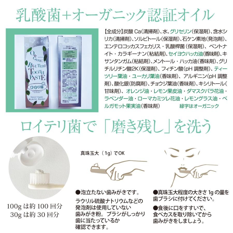 ブラックペイント 口腔ケア  ロイテリ菌 歯磨き粉 30g 口臭 歯石予防 泡控えめ フッ素なし 爽やかミント ノンケミカル オーガニック ヒト乳酸菌配合 | BLACK PAINT | 06
