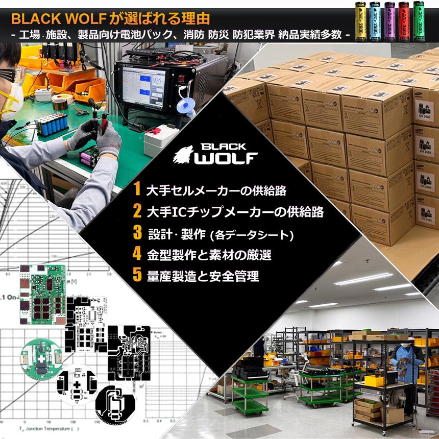 Leo レオ　サイズダンレボリューション　( 充電不要 ) LPN-Z7_03-e1738224535275.jpg