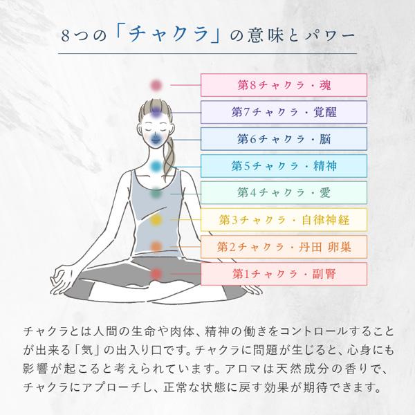 第8チャクラの活性化セット（パワースプレーとヒーリングストーン1個）説明書付き 第8チャクラの活性化セット（パワースプレーとヒーリングストーン1個