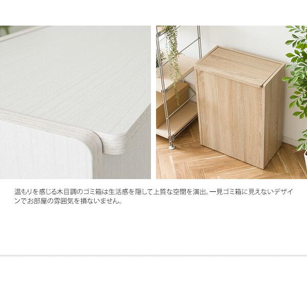 ゴミ箱 45リットル 45l ふた付き スリム おしゃれ