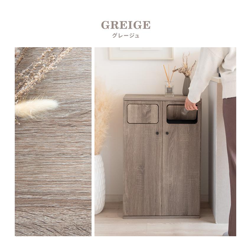 ゴミ箱 ダストボックス 45L 45リットル 分別 2分別 ふた付き スリム