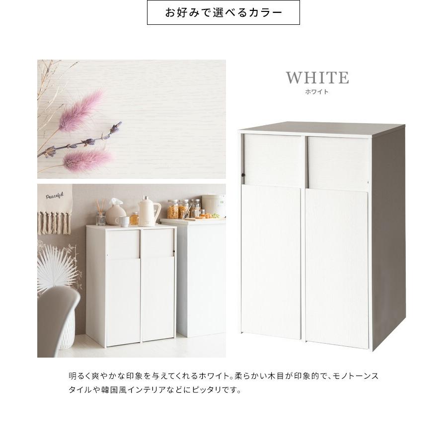 ゴミ箱 45L 45リットル 分別 2分別 スリム キャスター付き ふた付き