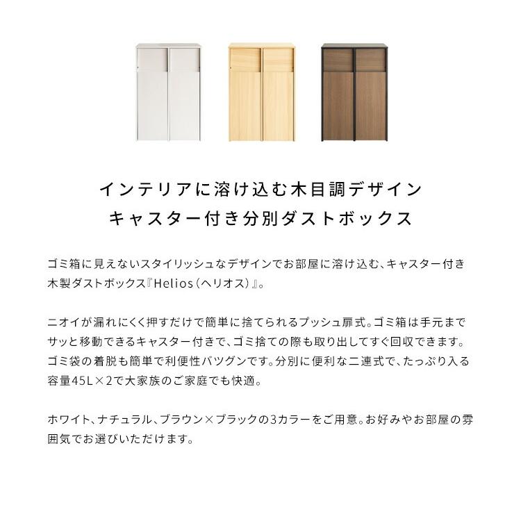 ゴミ箱 45L 45リットル 分別 2分別 ダストボックス ふた付き プッシュ