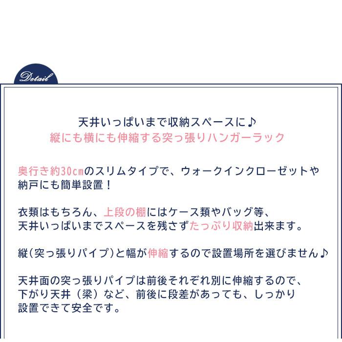 ワンピなど最旬ア ハンガーラック 突っ張り 棚 収納 2段 頑丈 スリム 押入れ 棚付き 収納付き 壁 つっぱり 伸縮 スチール ハンガー 洋服 ウォークイン クローゼット おしゃれ 北欧 Cisama Sc Gov Br