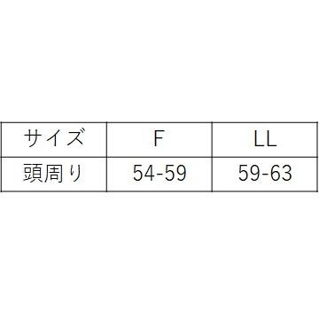 桃井第二小学校 紅白帽子 庇あり LL