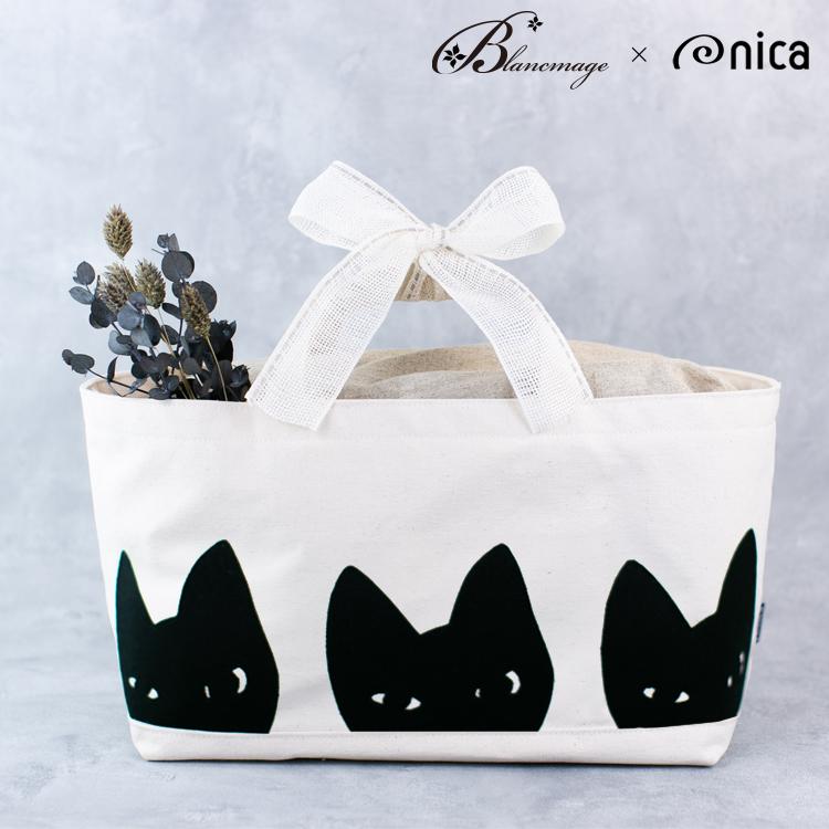 di-008-b-cat3