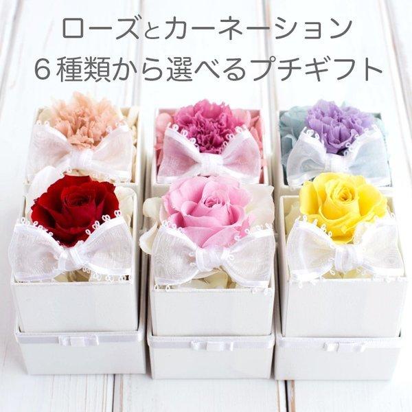 花 プレゼント 限定ギフト プリザーブドフラワー カーネーション 送料無料 リボンパールボックス Fr Ribbon Parlbox ブランマージュ ヤフー店 通販 Yahoo ショッピング