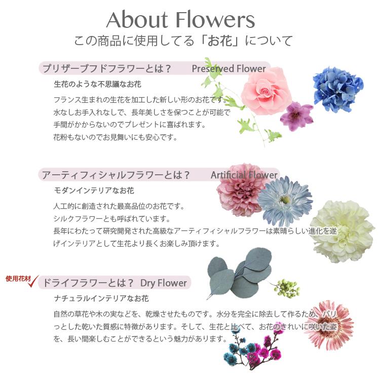ニゲラとミモザとユーカリのスワッグ ドライフラワー 花束 ブーケ ナチュラル バーラップ 麻紐 無料ラッピング Sw Neture05 ブランマージュ ヤフー店 通販 Yahoo ショッピング