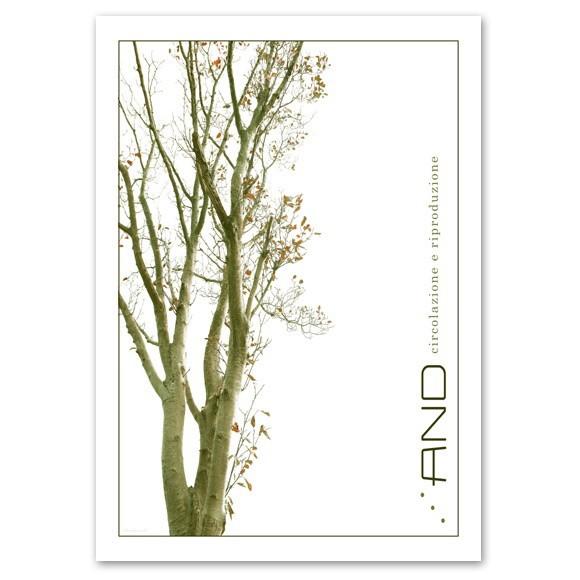 インテリア ポスター A2サイズ 『And-b』 アート 花,植物 おしゃれポスター Interior Art Poster｜blankwall