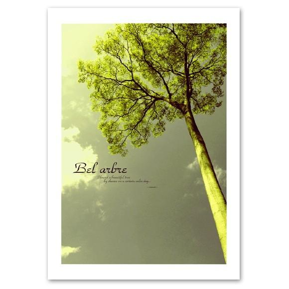 インテリア アートポスター 『Bel Arbre』 A3サイズ フォト 自然 風景 Interior Art Poster  :belarbre-a3p:ポスター販売ブランクウォール - 通販 - Yahoo!ショッピング