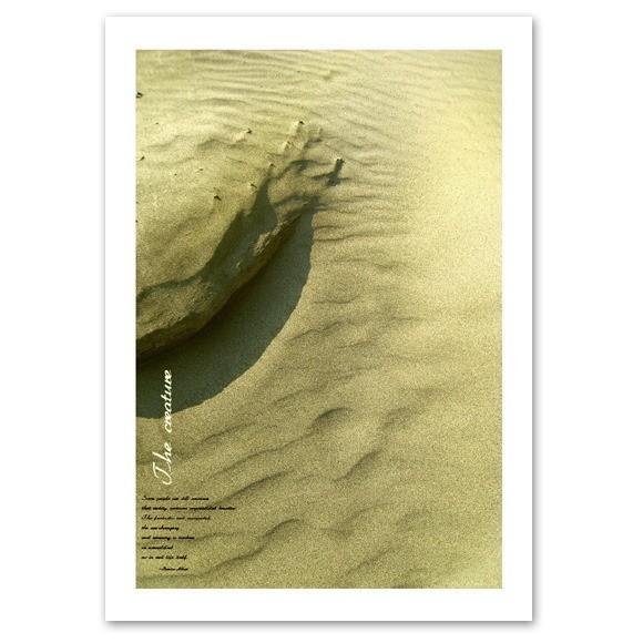 ポスター A3サイズ 『Creature』 海 砂浜 自然ポスター Interior Art Poster インテリア｜blankwall