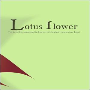 ポスター A2サイズ 『Lotus flower グリーン』 アート/花,植物 おしゃれポスター/Interior Art Poster インテリア｜blankwall｜03