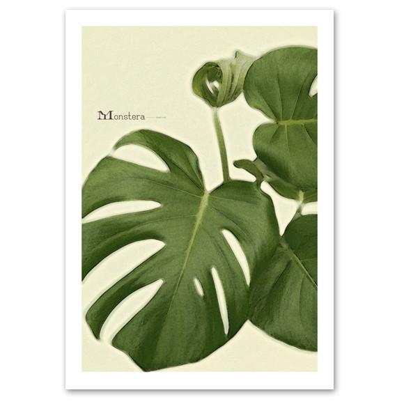 モンステラのポスター インテリアアートポスター A3サイズ 『Monstera』 おしゃれ モンステラ