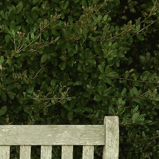 シルエットキャット 『Bench』 ポスター A2サイズ ネコ ねこ 猫 フォト 黒猫 インテリア アート |  | 03