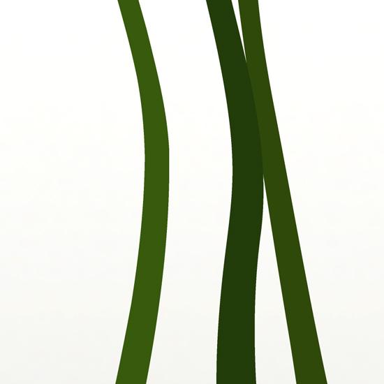 インテリアアートポスター A3サイズ 『Vert』 花,植物 Interior Art Poster |  | 03