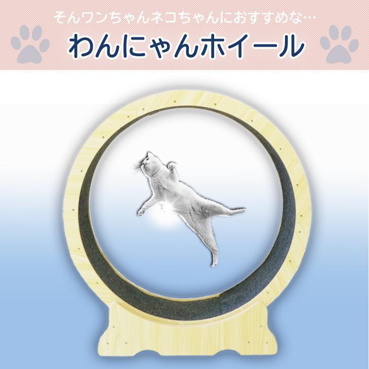 キャット ホイール 猫 わんにゃんホイール ランニングホイール 運動不足 健康 ダイエット ホイール おもちゃ ストレス発散 解消 グッズ キャットウォーク｜blare-store｜08