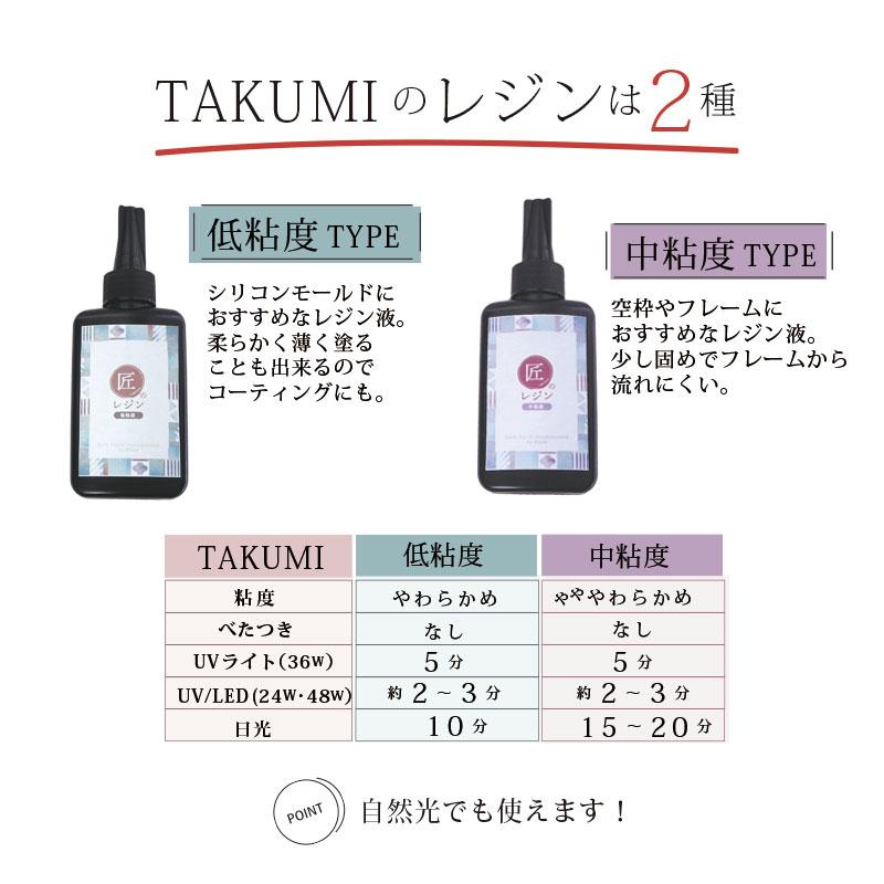 BLAZE メール便国産 レジン液 匠のレジン 大容量 UV-LED TAKUMIの