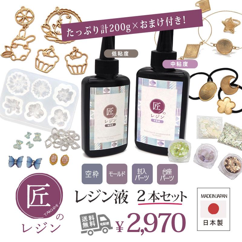 BLAZE レジン液 日本製 国産 透明 低粘度 中粘度 2本セット 100g×2 UV