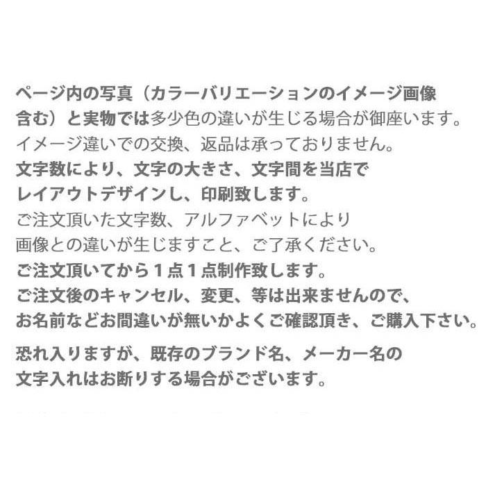 スマートキーケース スマートキー 2個収納 ケース クリア窓付き 名入れ 文字入れ 名前入れ 猫 ネコ 韓国 くすみカラー｜bleeek-shop｜13