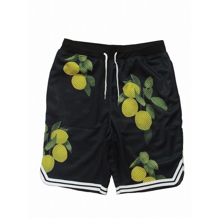 20％OFF LRG ショートパンツ メッシュショーツ ハーフパンツ HI LUX MESH SHORT | LRG | 01