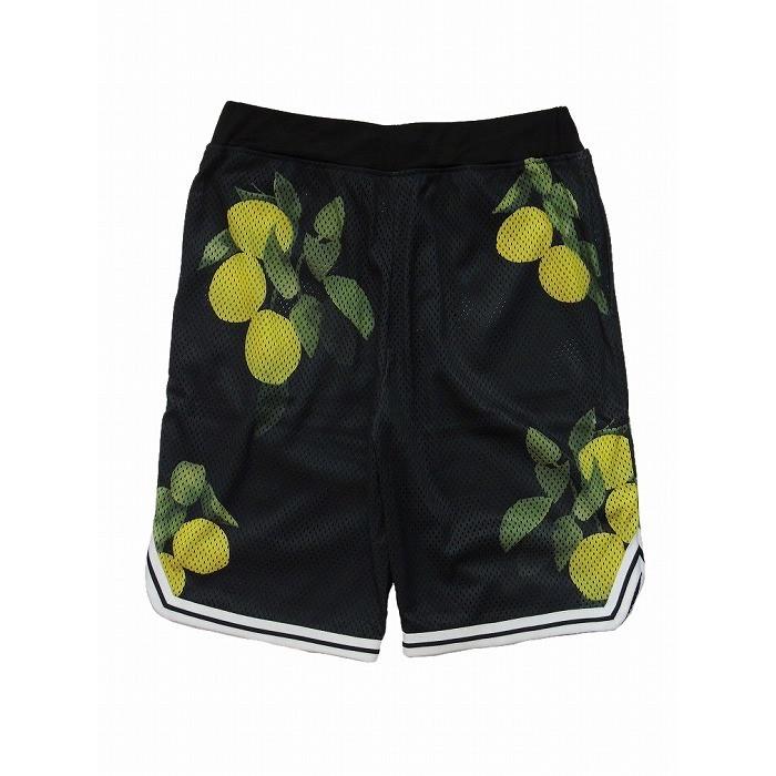 20％OFF LRG ショートパンツ メッシュショーツ ハーフパンツ HI LUX MESH SHORT | LRG | 04