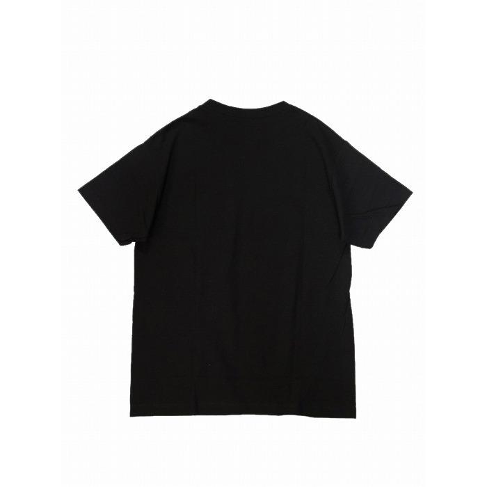 20%OFF LRG エルアールジー Tシャツ 半袖 プリント WESTERN SCRIPT SS TEE｜bless-web｜05