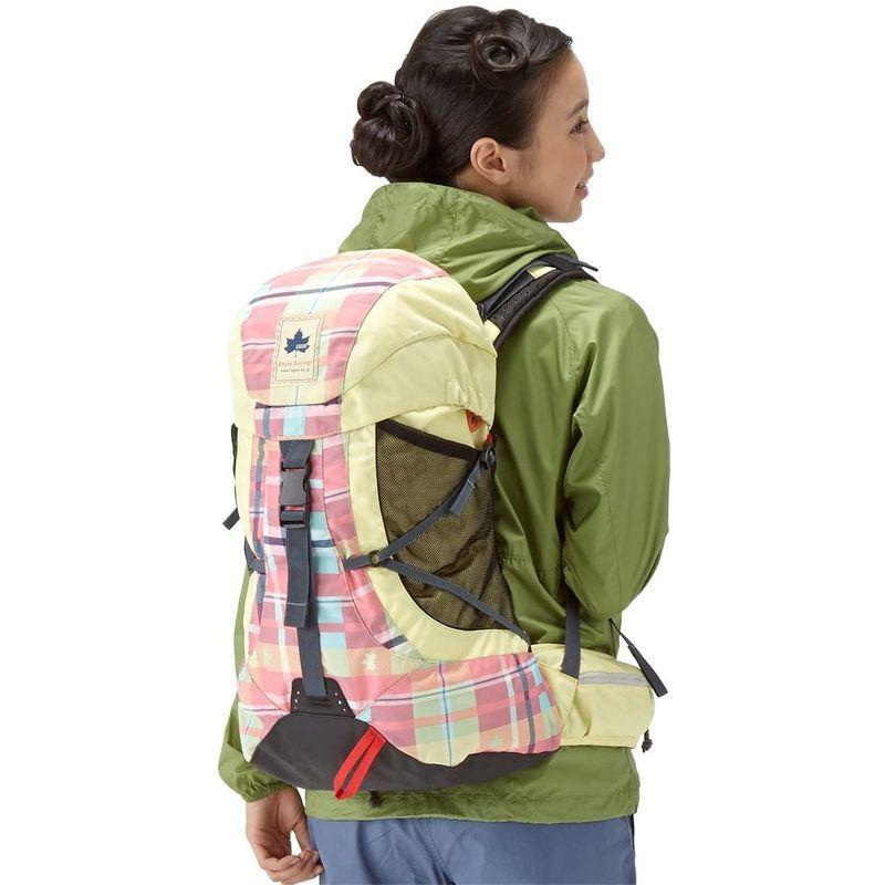 お年玉セール特価 ロゴス リュック Ae Check Cadvel Design30 リュックサック Aduresourcecenter Com