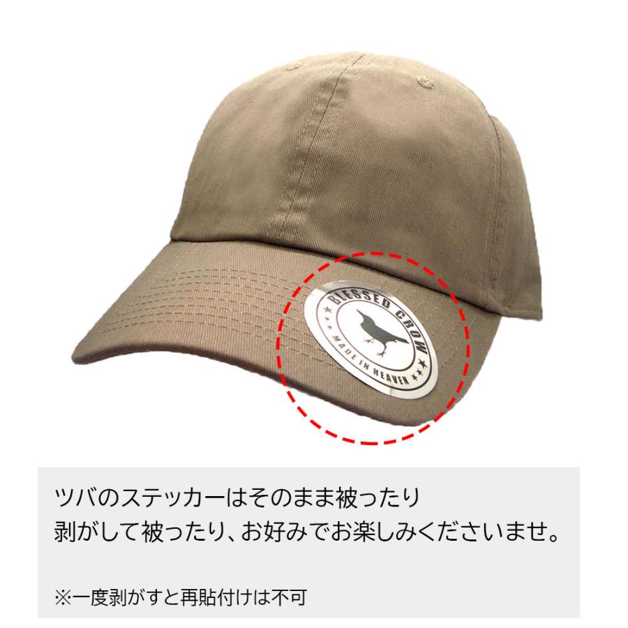 キャップ ブランド メンズ 帽子 BlessedCrow RELAXED ローキャップ 秋冬 春夏 コットン ロゴ タグ |  | 16