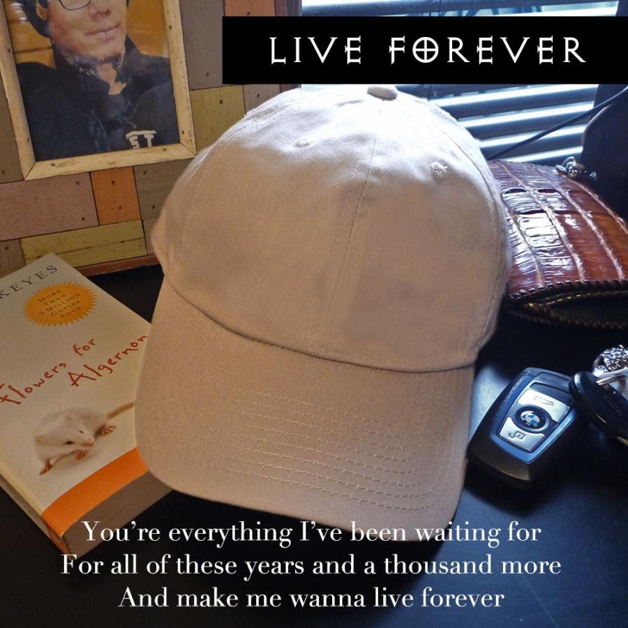 キャップ ブランド メンズ 帽子 BlessedCrow RELAXED ローキャップ 秋冬 春夏 コットン ロゴ タグ |  | 07