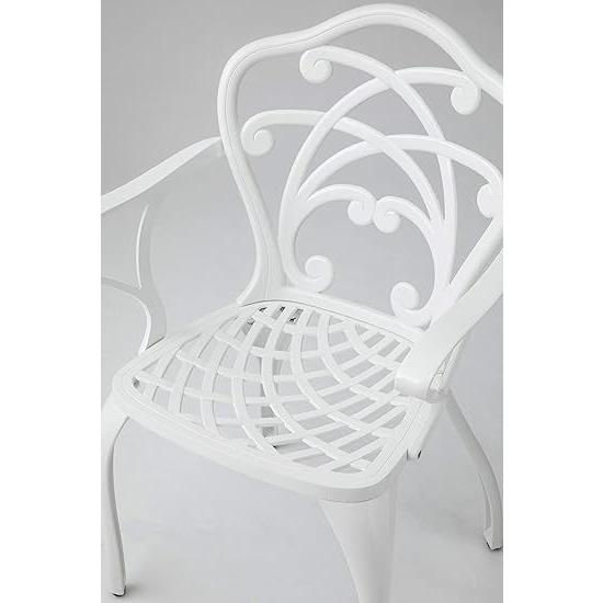 タカショー リーズ シングルチェアー 幅60.5cm×奥行52cm×高さ88.5cm IGF-C03W 5cm×奥行52cm×高さ88