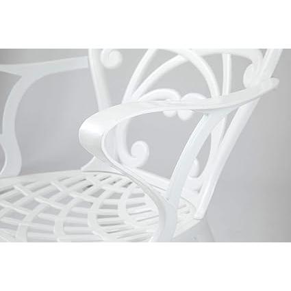 タカショー リーズ シングルチェアー 幅60.5cm×奥行52cm×高さ88.5cm IGF-C03W 5cm×奥行52cm×高さ88