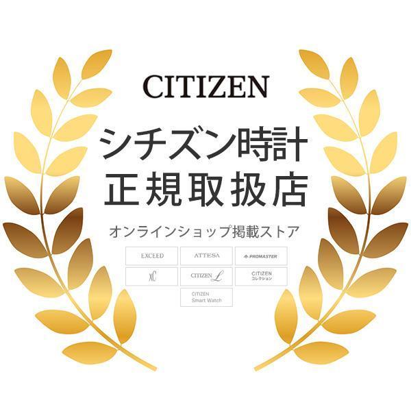 CITIZEN PROMASTER シチズン エコドライブ電波 腕時計 メンズ プロマスター CA4664-60X 88.0 2025年3月の画像