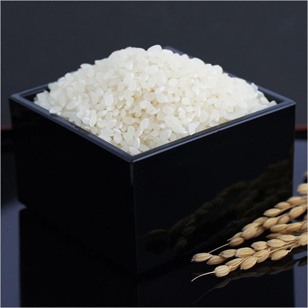 コシヒカリ 新潟 令和六年 新潟県産コシヒカリ 5kg うるち米(精 コシヒカリ 新潟 令和六年 新潟県産コシヒカリ 5kg うるち米(精