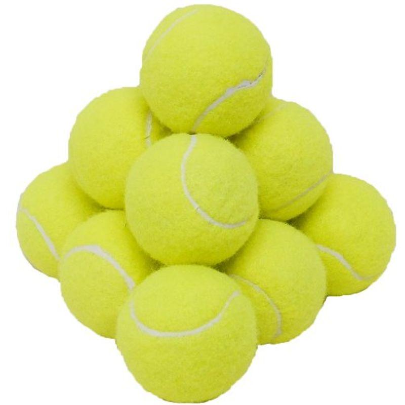 人気ブランド多数対象 最大63％オフ Be Active ビーアクティブ 硬式テニスボール12個セット収納バッグ入り BA-1098 misono-youjien.com misono-youjien.com