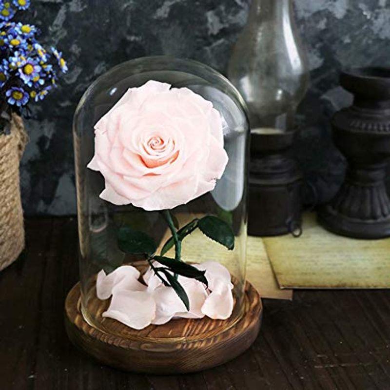プリザーブドフラワー １輪のバラ ドライフラワー ギフト ガーデンライト 庭園灯 ガラスドーム 枯れない花 ケース 007ならショッピング ランキングや口コミも豊富なネット通販 更にお得なpaypay残高も スマホアプリも充実で毎日どこからでも気になる