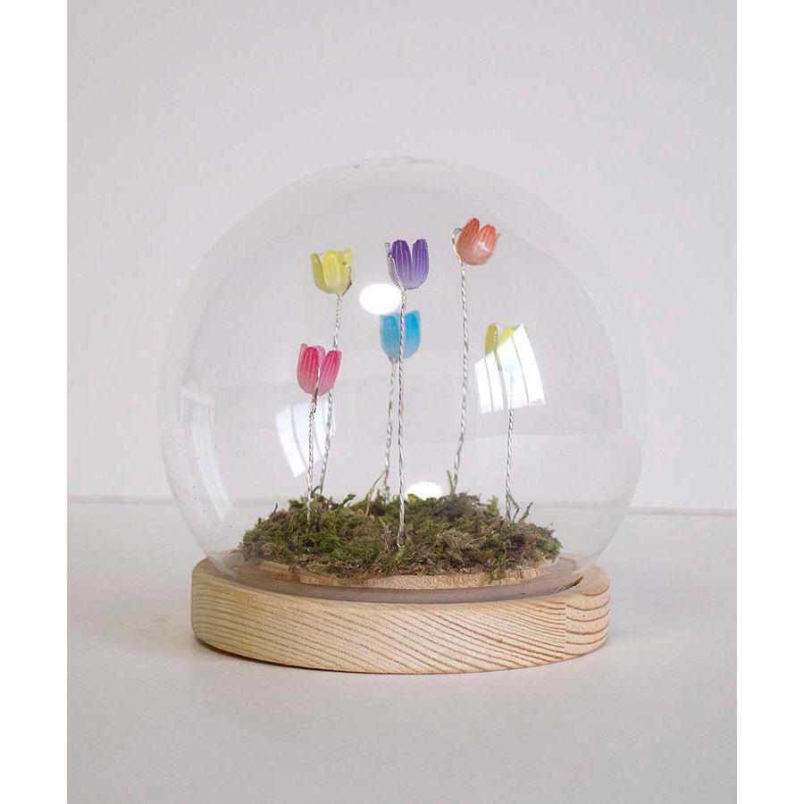 間接照明　植物　癒し 間接照明と観葉植物で作る癒やしの空間