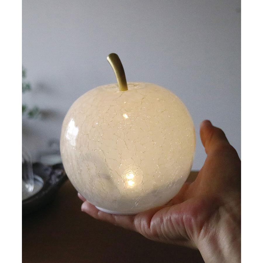 Bleu Bleuet（ブルーブルーエ） LEDライト ガラス 光る 置物