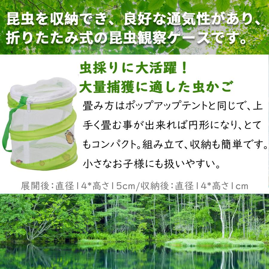 虫取り網 ロング 伸縮 子供 3個セット 昆虫ケージ付 ピンセット付