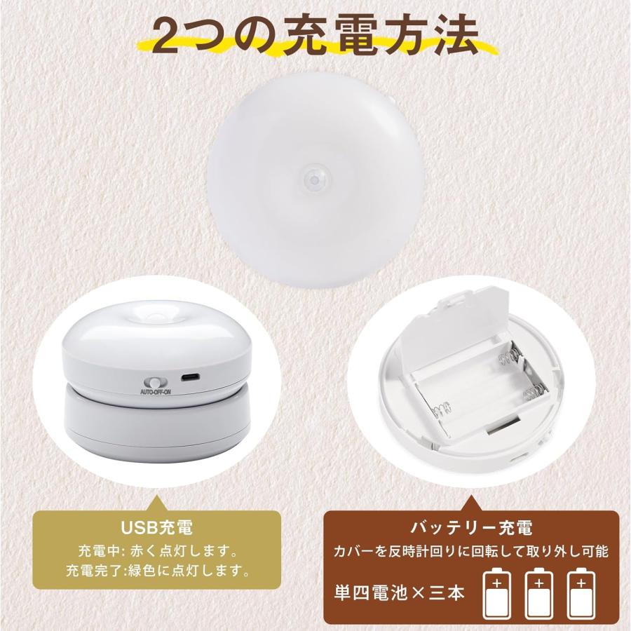 Iseebiz センサーライト 人感センサーライト 常夜灯 室内 明暗センサー